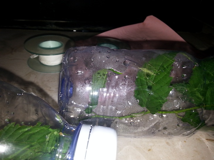 20140724_012255.jpg
