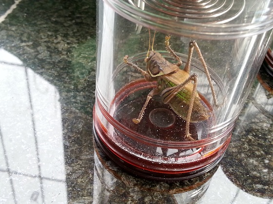 20140708_172404.jpg