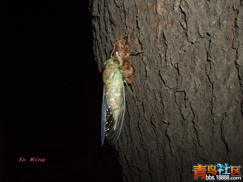 DSCF2906.jpg