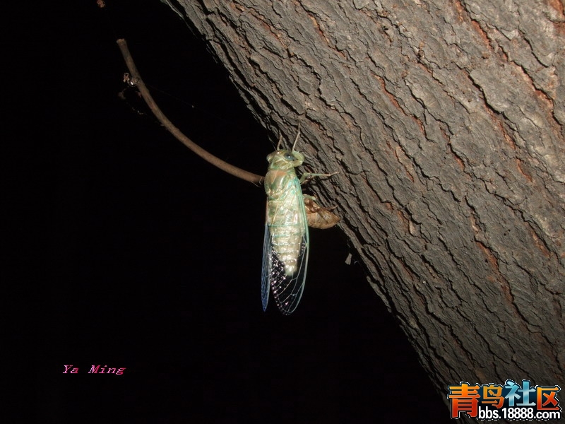 DSCF2986.jpg