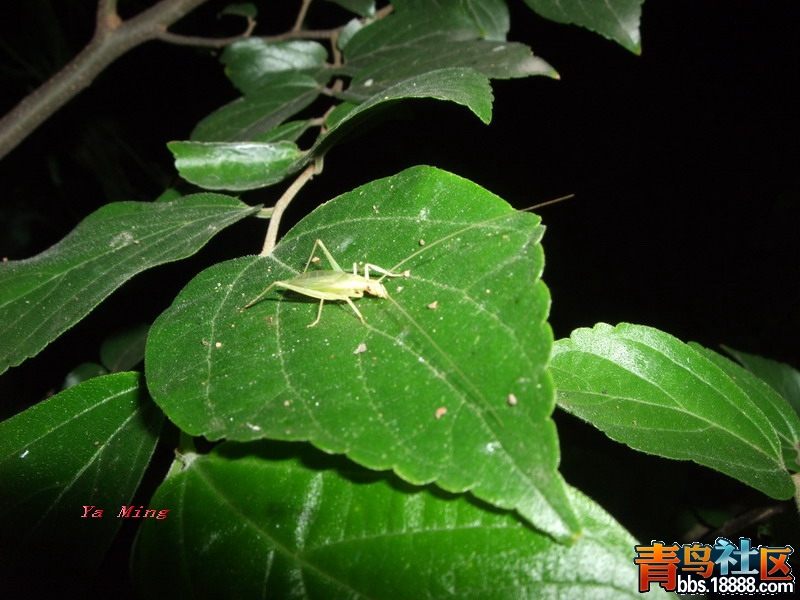 DSCF2921.jpg