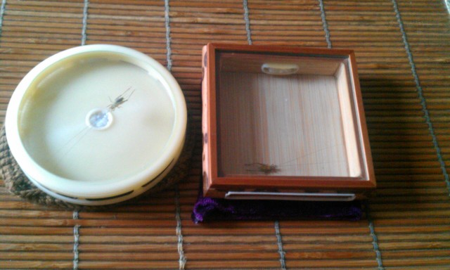 IMAG0117.jpg
