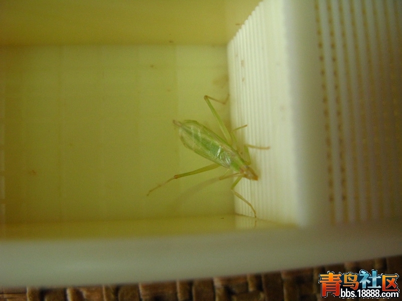 IMG_0128_调整大小.JPG