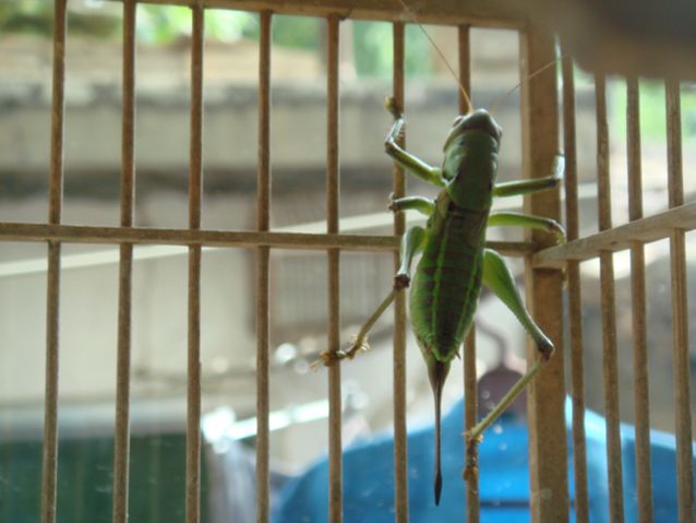 DSC04172.JPG