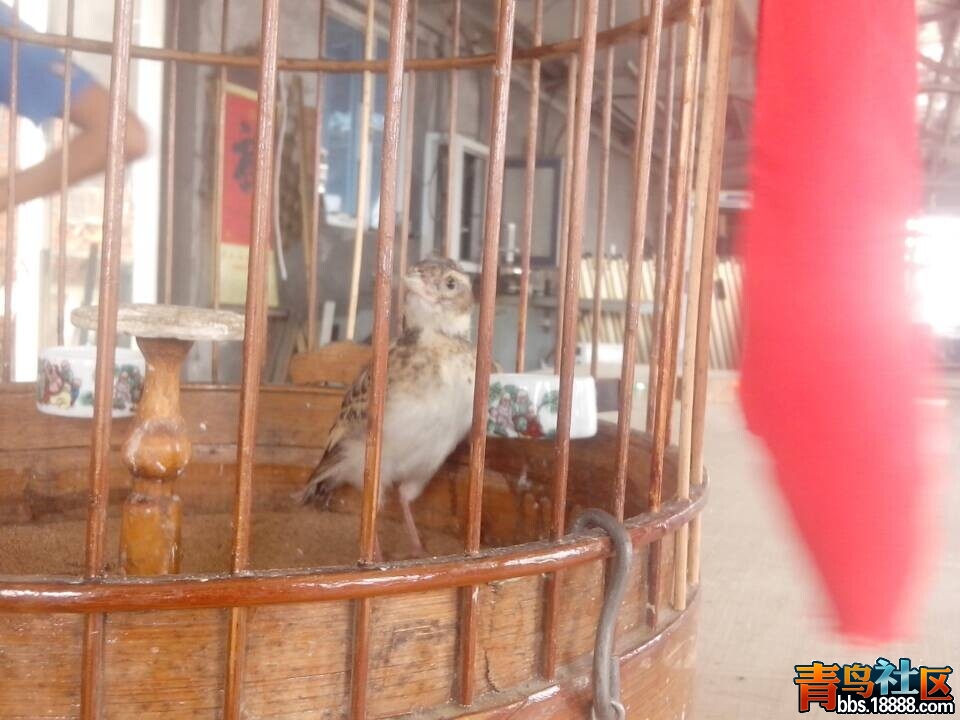 QQ图片20140721062044.jpg