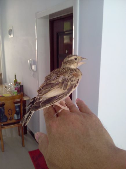 IMG20140724004.jpg