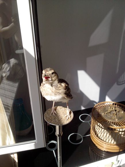 IMG20140725008.jpg