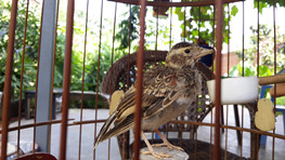 20140714_163048_副本.jpg
