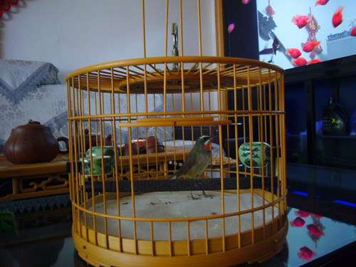 P1060607_副本.jpg
