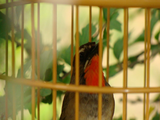 DSC03064.jpg