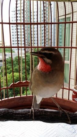 20140715_081017.jpg