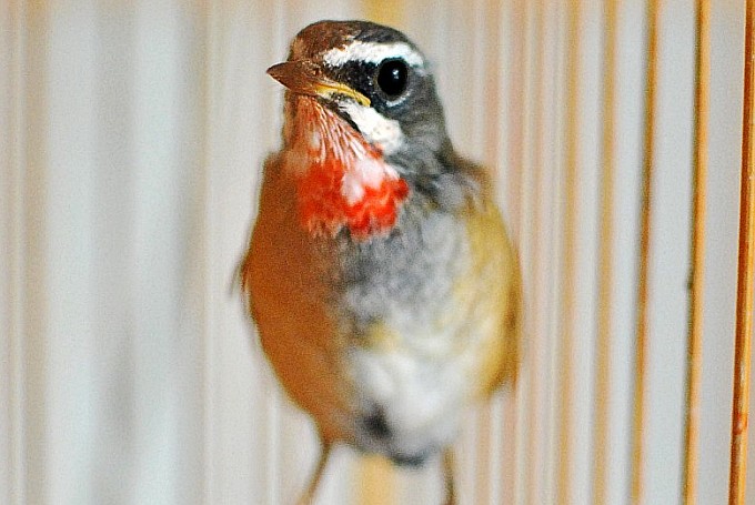 DSC_0026_conew2.jpg