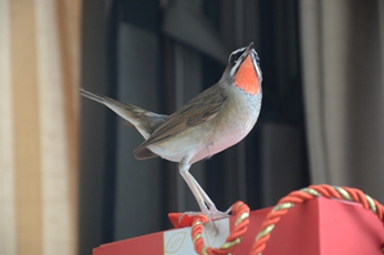 DSC_4001.JPG