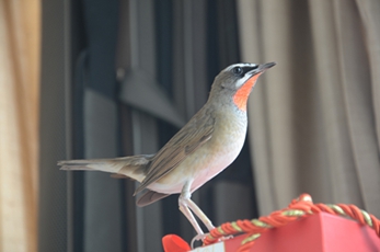 DSC_3998.JPG