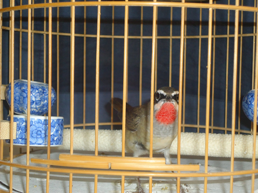 DSC09850_副本.jpg
