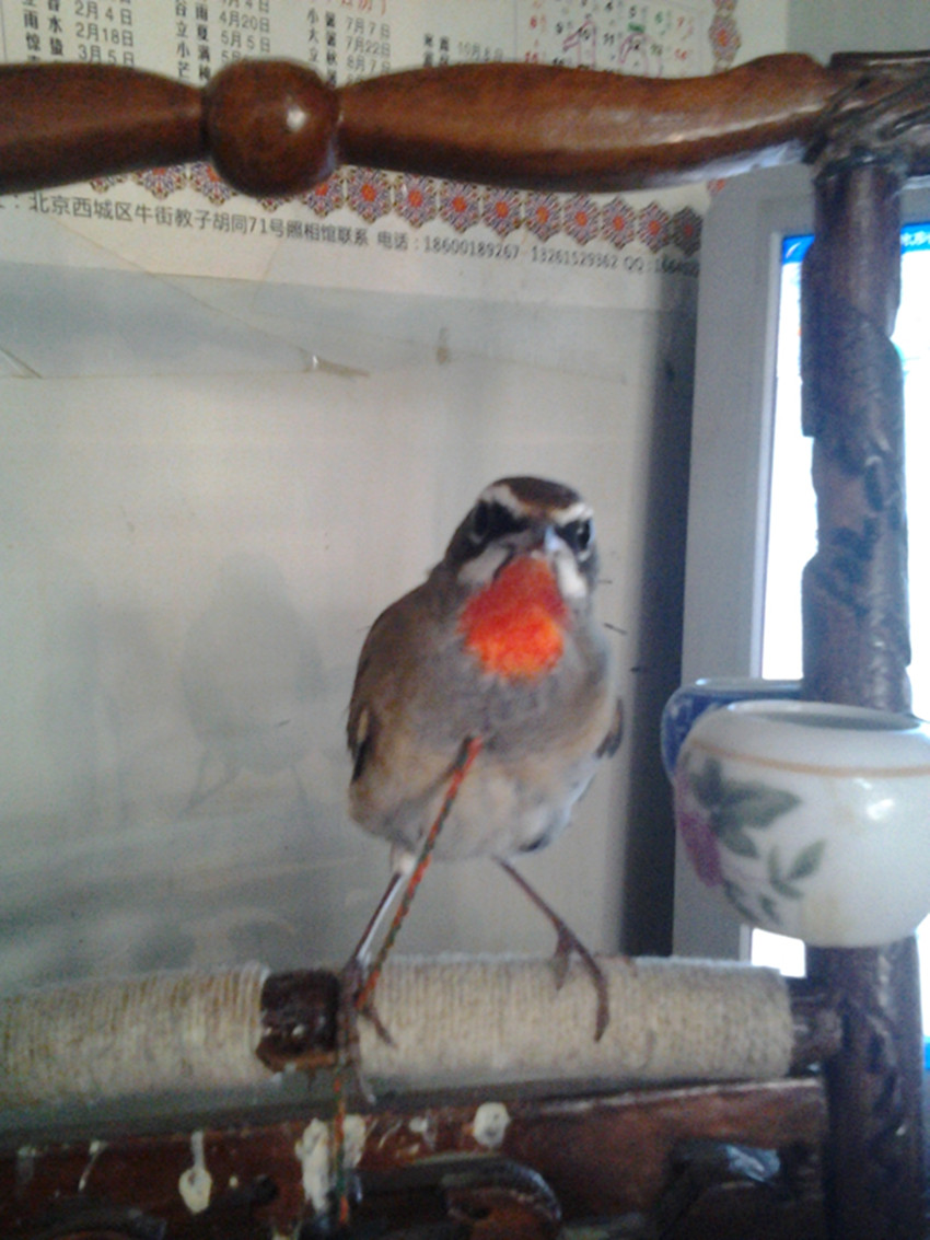 20131029_142650_副本.jpg