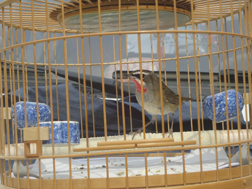 DSC09892_副本.jpg