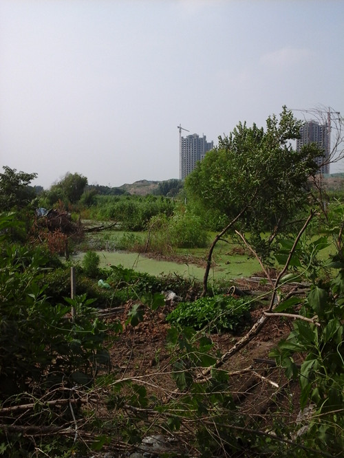 QQ图片20140719161641_副本.jpg