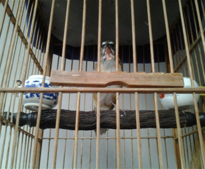 2014-07-08 17.27.26_副本.jpg