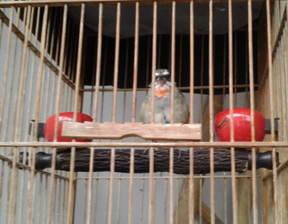 2014-07-04 07.41.38_副本.jpg