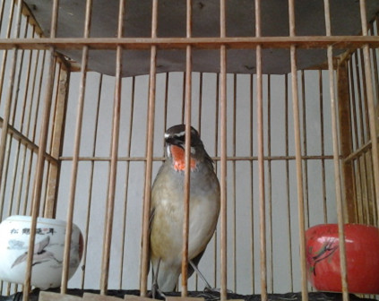 2014-07-16 12.21.29_副本.jpg