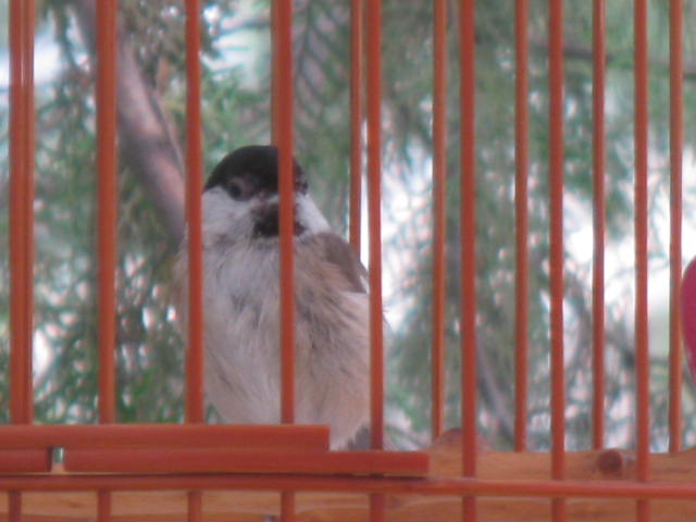 照片 173.jpg
