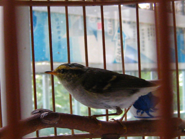 IMG_1574.jpg