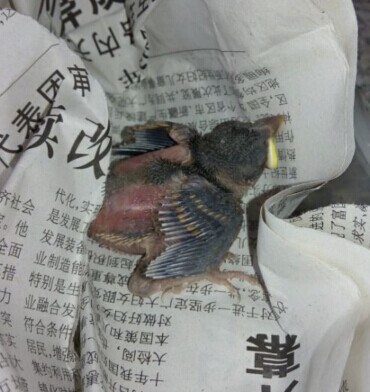QQ图片20140720095341.jpg