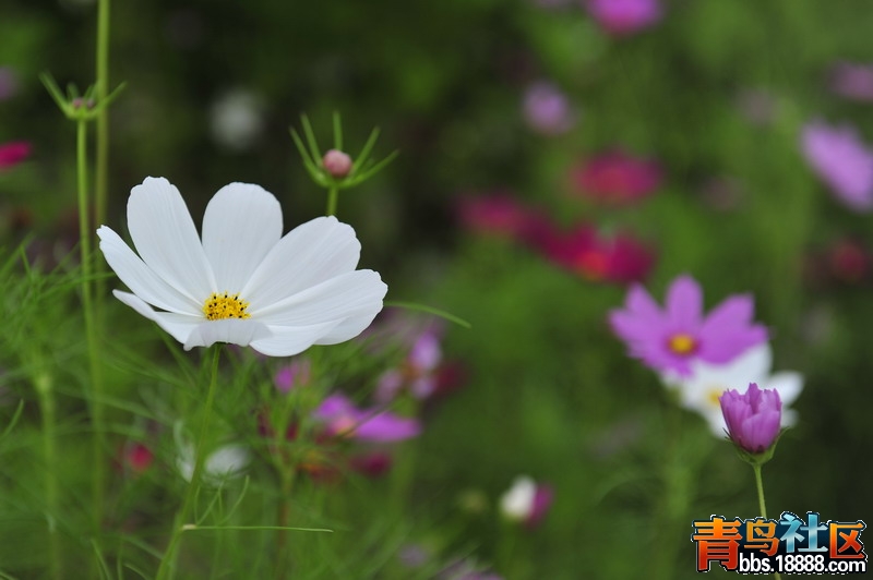 _DSC8568_缩小大小.jpg