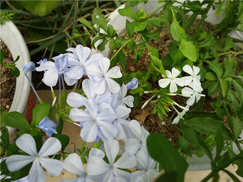 20140730_131123.jpg