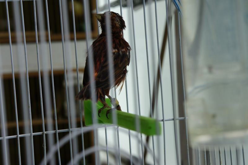 nEO_IMG__DSC7441.jpg