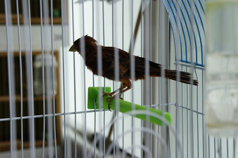 nEO_IMG__DSC7431.jpg