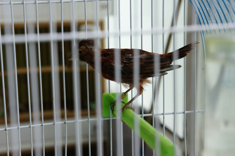 nEO_IMG__DSC7436.jpg