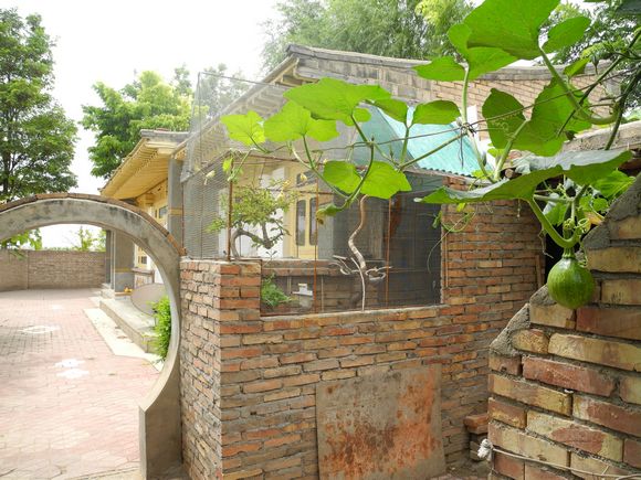 DSCN4593.JPG