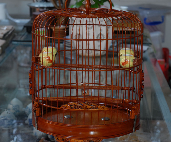 DSC_0017.JPG