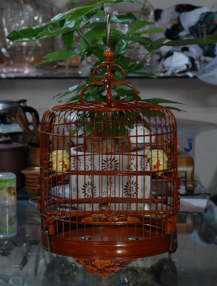 DSC_0001.JPG