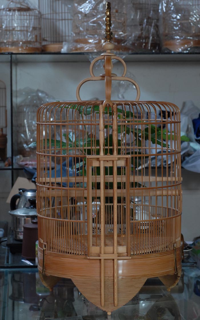 DSC_0037.JPG