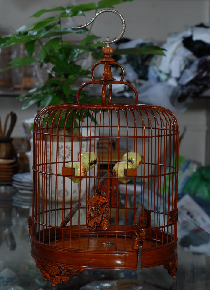 DSC_0003.JPG