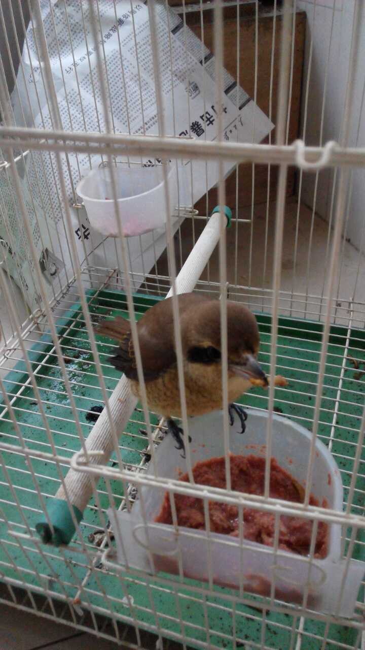 QQ图片20140825154244.jpg