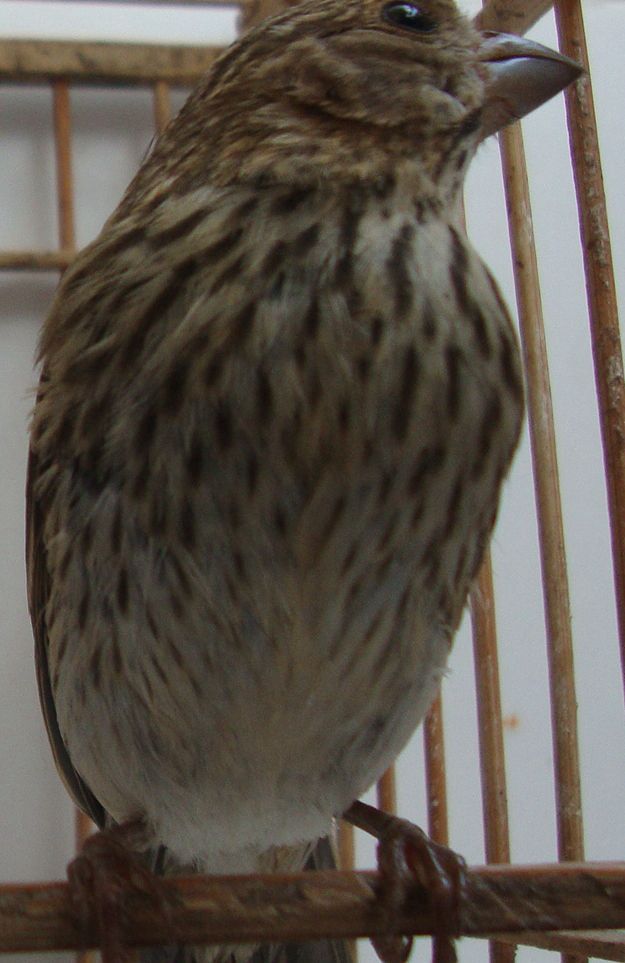 DSC06394_副本.jpg