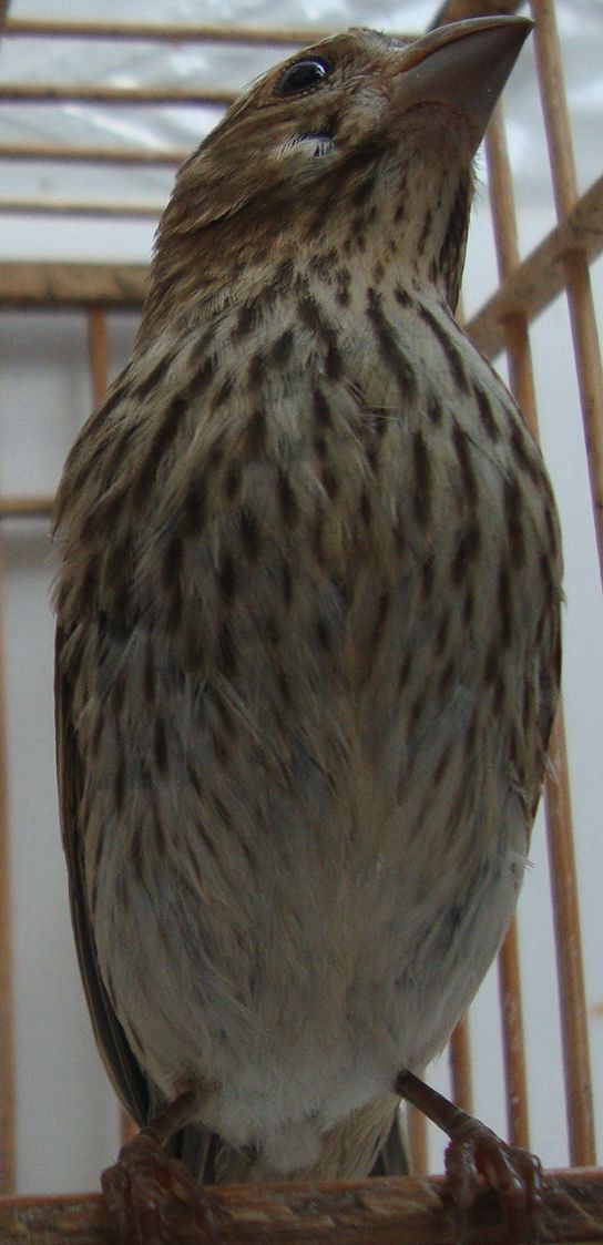 DSC06395_副本.jpg