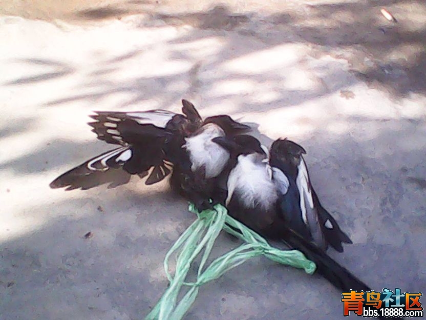 DSC_0000256_副本.jpg