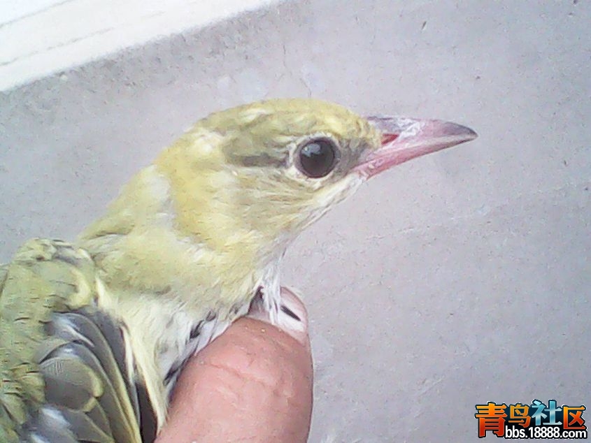 DSC_0000267_副本.jpg
