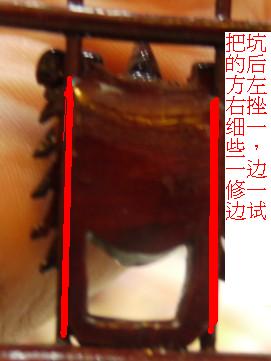 QQ图片2014080123583.jpg