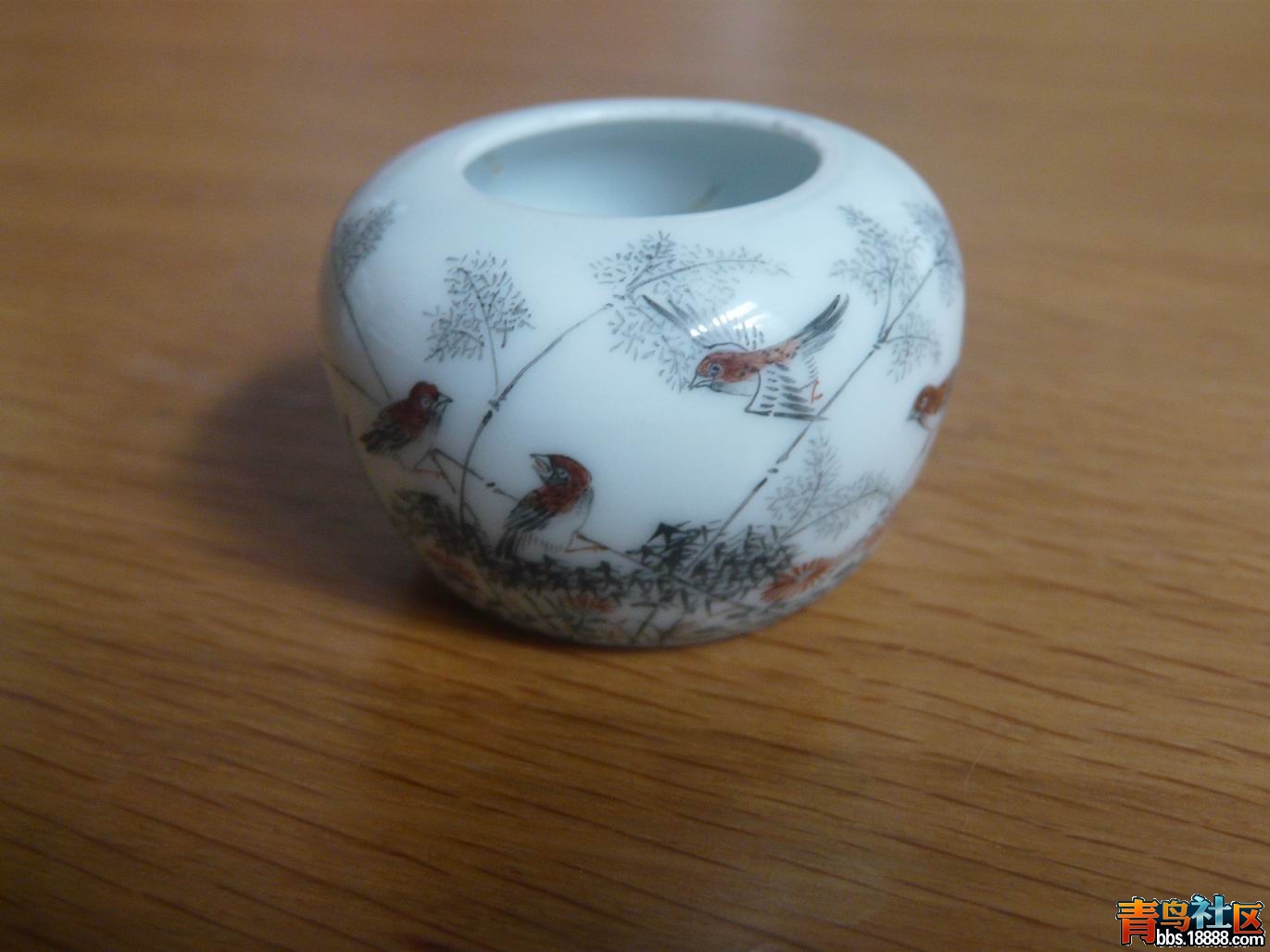 3 P1060221.JPG