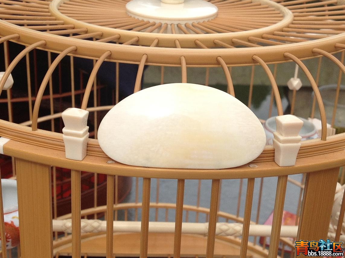 照片 012.jpg