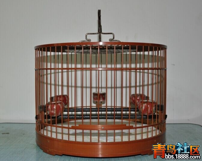 三河乔1.jpg