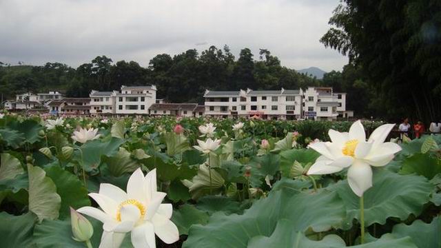 1208111612fd0d22ad0739fdab.jpg