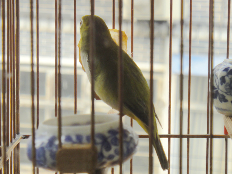 DSC04490.JPG