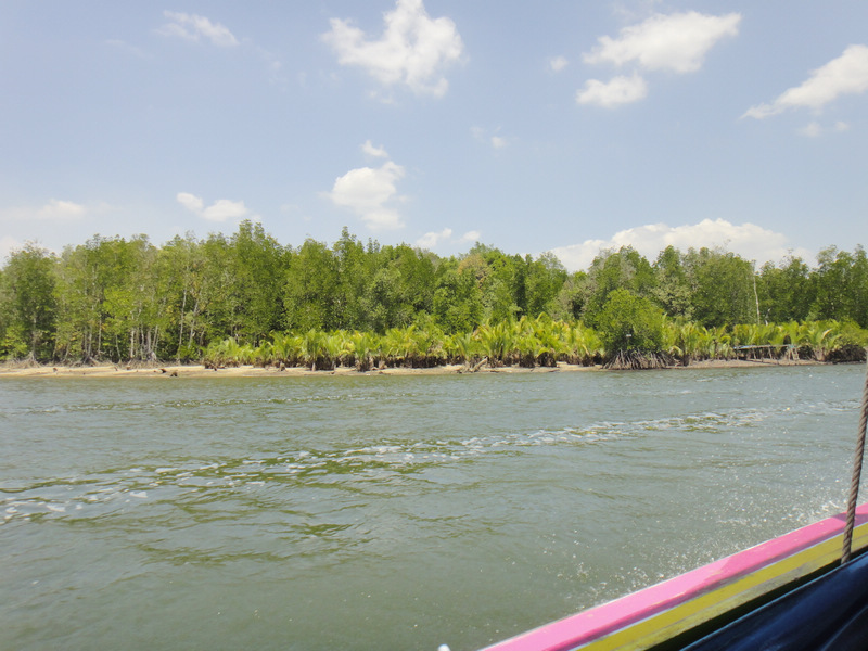 DSC03544.JPG